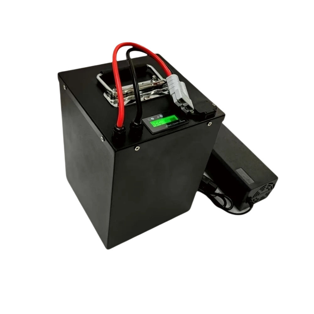 60V 25Ah 30Ah 40Ah 80Ah 100Ah  - 72V 40Ah Lifepo4 Battery Pack review and price